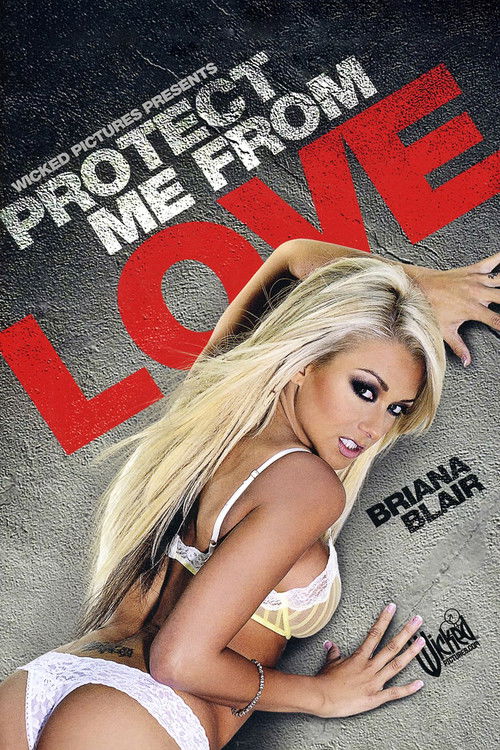 Protect Me From Love (2011) poster