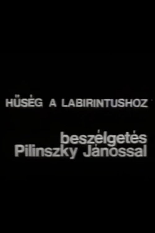Hűség a labirintushoz – Beszélgetés Pilinszky Jánossal (1978) poster