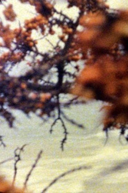 At the Sea (1995) poster