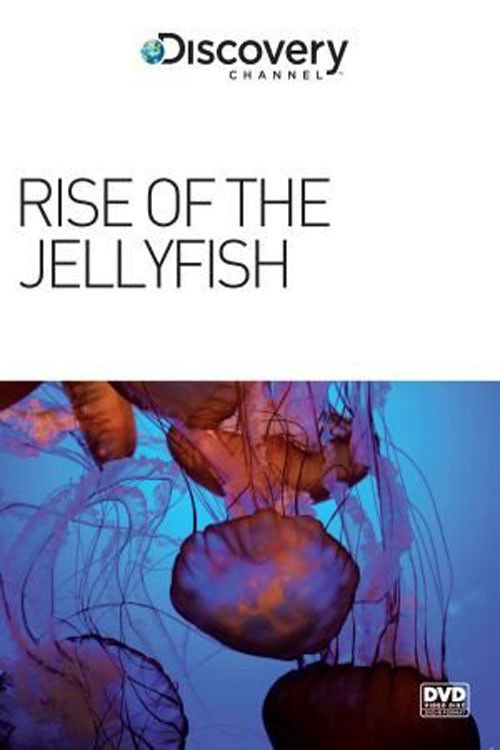 Rise of the Jellyfish (2011) poster