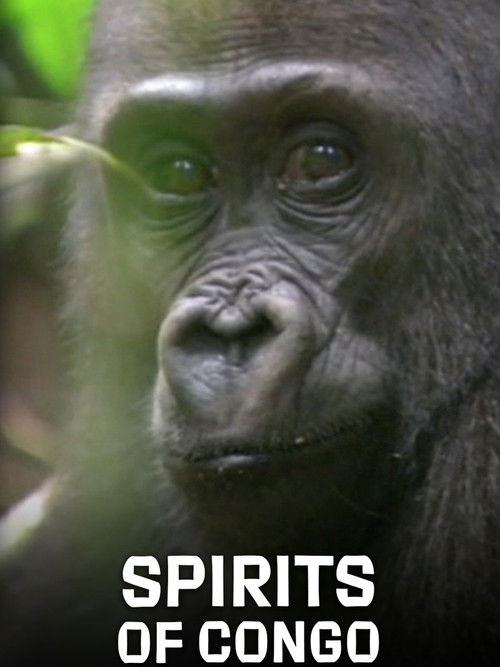 Spirits of Congo (2020) poster