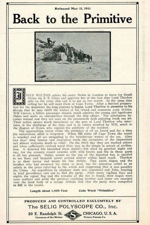 Back to the Primitive (1911) poster