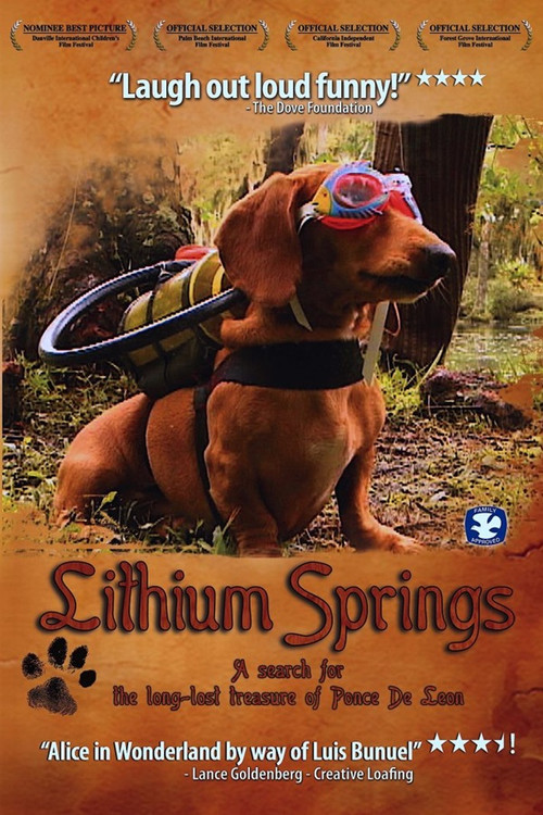 Lithium Springs (2004) poster