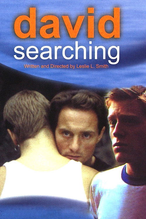 David Searching (1997) poster