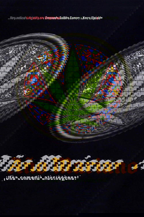 Año Mariano (2000) poster