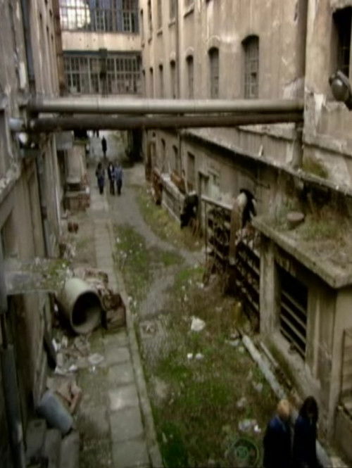 Si tu timažin (2004) poster