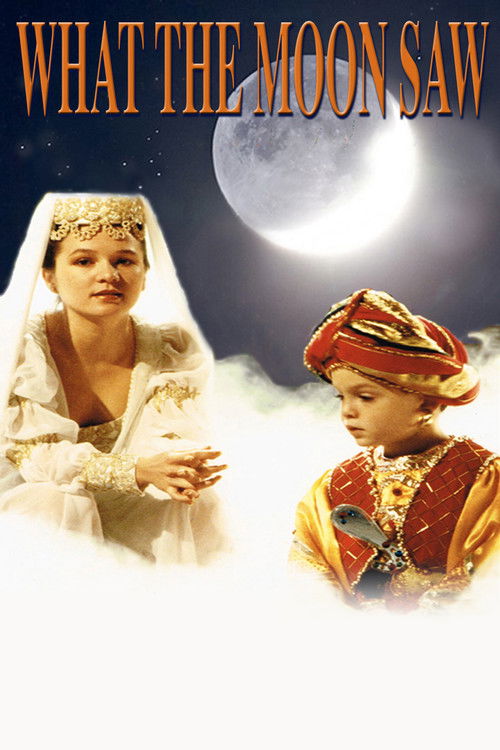 What the Moon Saw (1990) poster