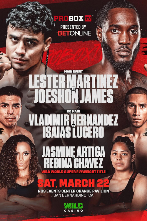 Lester Martinez vs. Joeshon James (2025) poster