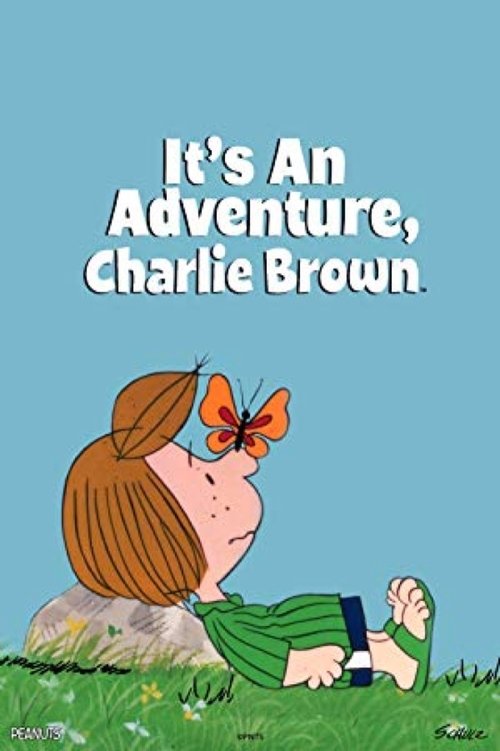 It's an Adventure, Charlie Brown (1983) poster