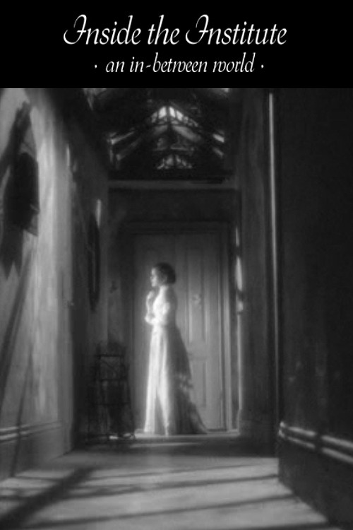 Inside The Institute (2010) poster