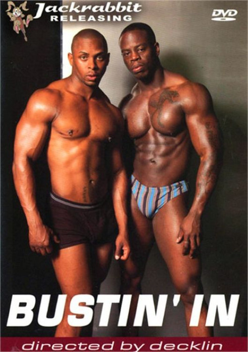 Bustin' In (2004) poster