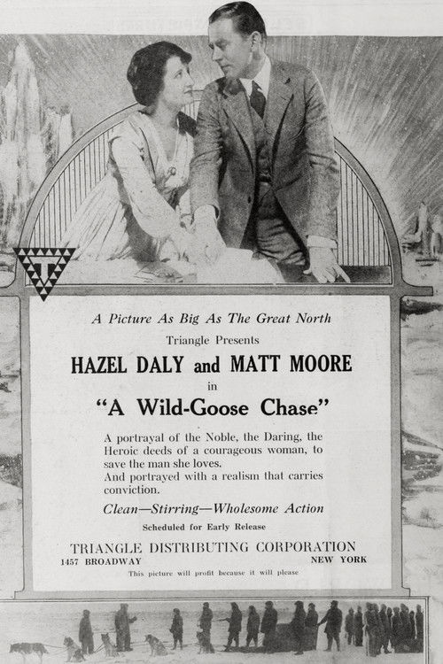 A Wild Goose Chase (1919) poster