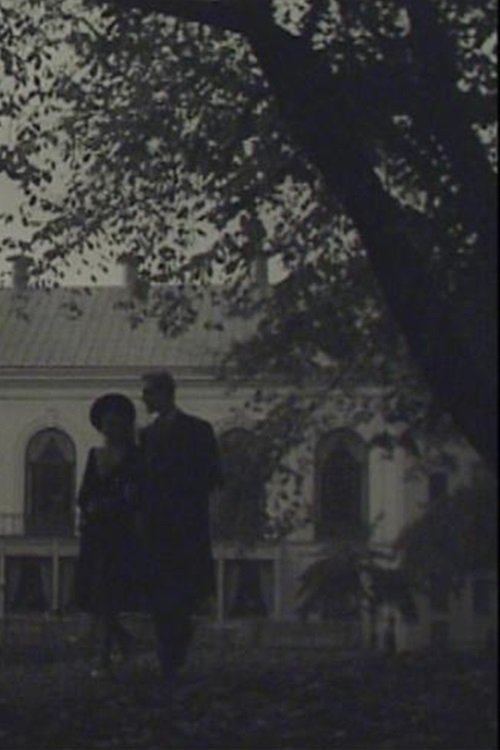 A Stockholm Silhouette (1943) poster