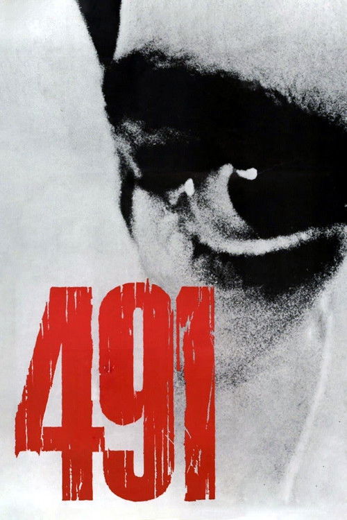 491 (1964) poster