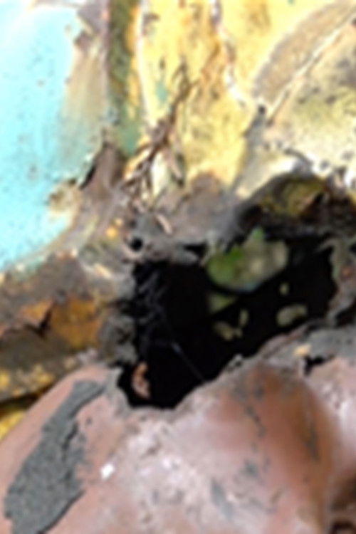 Mercury (2016) poster