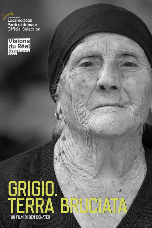 Burnt. Land of Fire (2020) poster