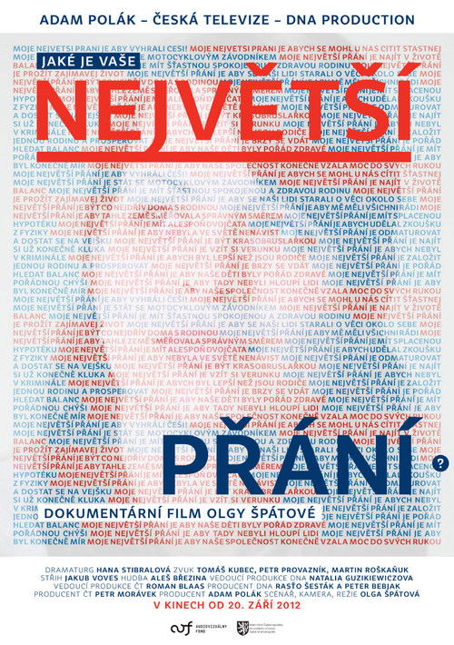 Největší přání (2012) poster
