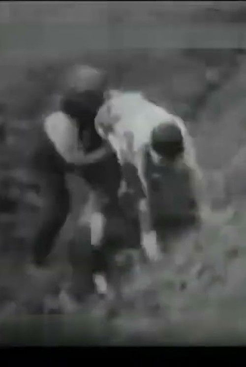 A Race for a Bride (1910) poster