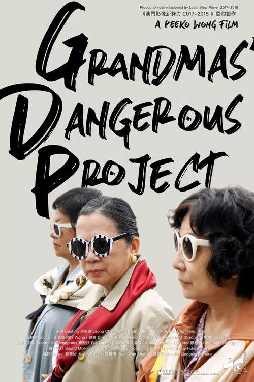 G.D.P.: Grandmas’ Dangerous Project poster