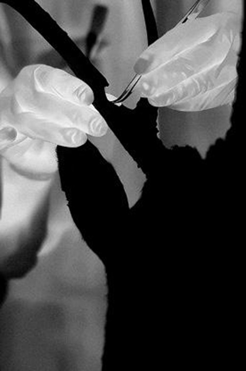 Extramission: The Capture of Glowing Eyes (2024) poster