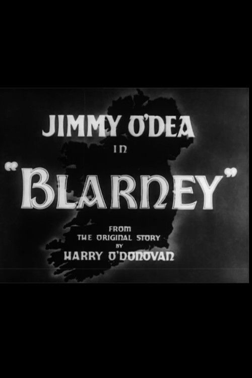 Ireland's Border Line (1938) poster