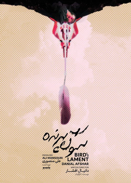 Bird's Lament (2021) poster