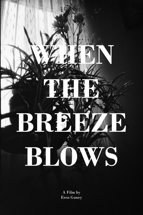 When the Breeze Blows poster