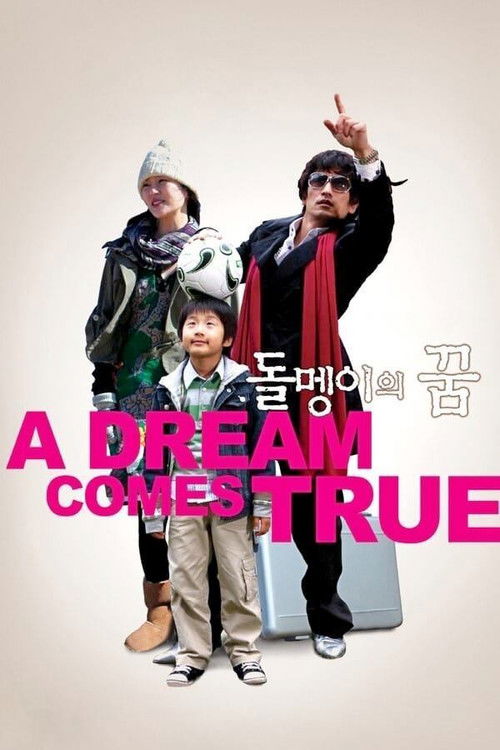 A Dream Comes True (2009) poster