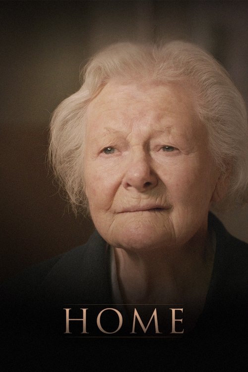 HOME (2014) poster