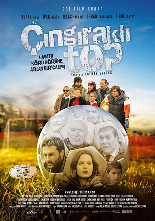 Çıngıraklı Top (2009) poster