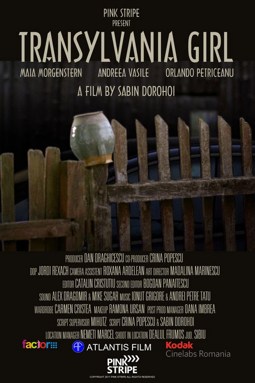 Fata din Transilvania (2011) poster