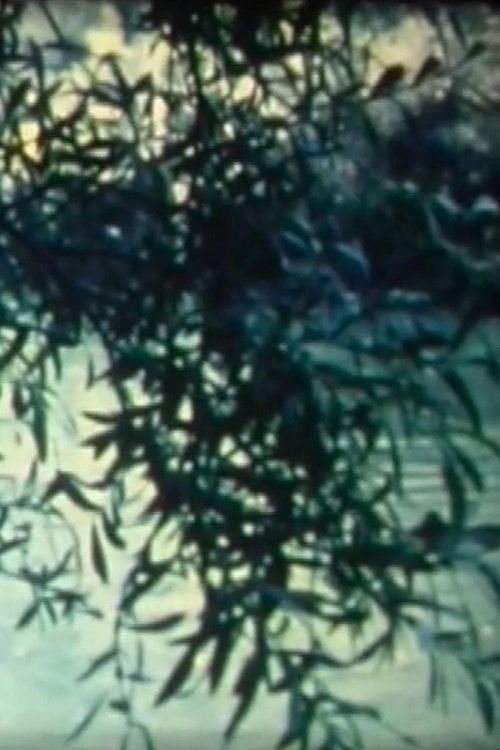 Le radar cherche (1976) poster