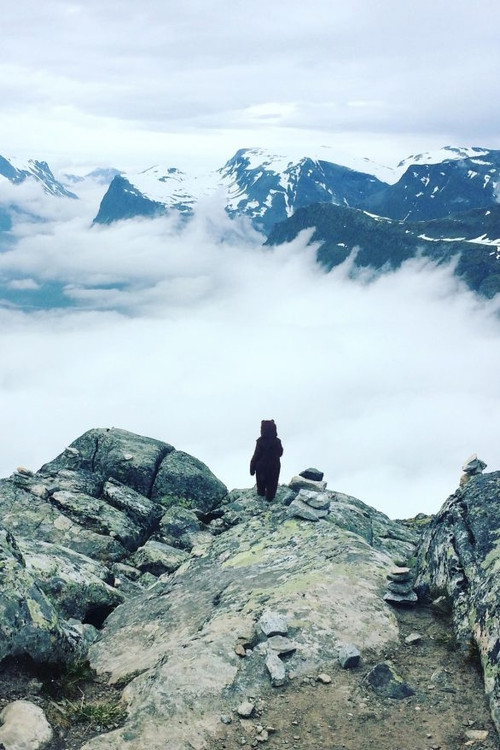 The Bear (2018) poster