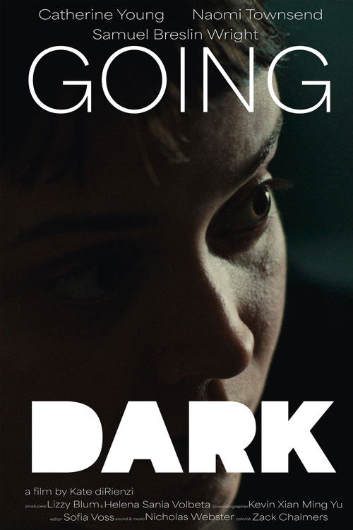 Going Dark (2025) poster