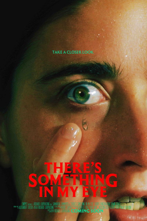 There's Something In My Eye (2025) poster