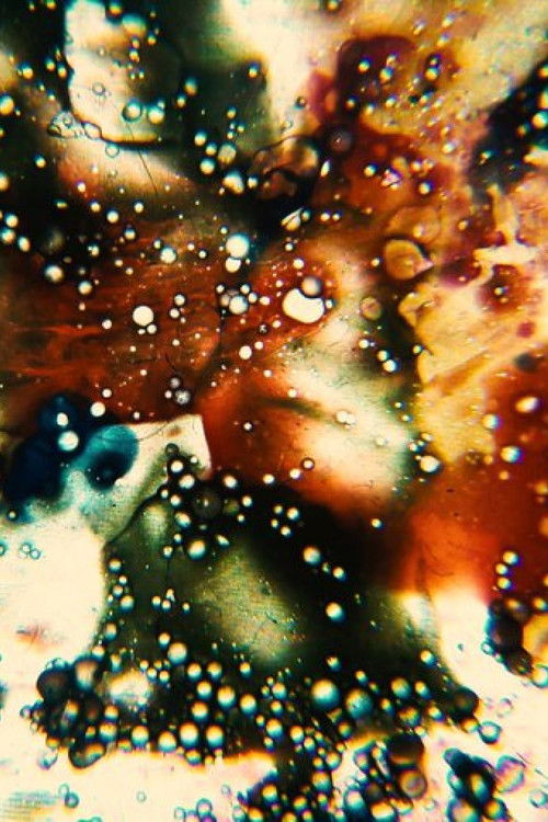 L.L. Carson (2021) poster