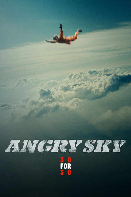 Angry Sky (2015) poster