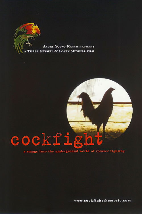 Cockfight (2001) poster