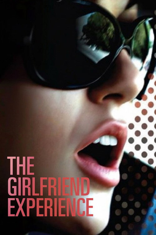 The Girlfriend Experience (2009) poster