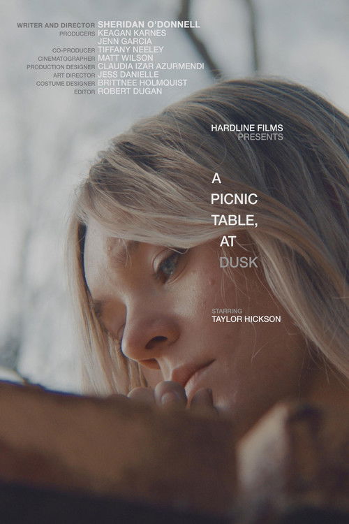 A Picnic Table, At Dusk (2018) poster