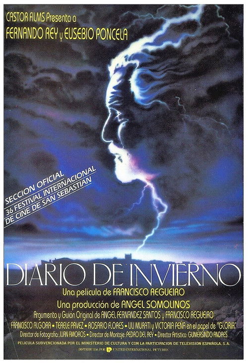 Winter Diary (1988) poster