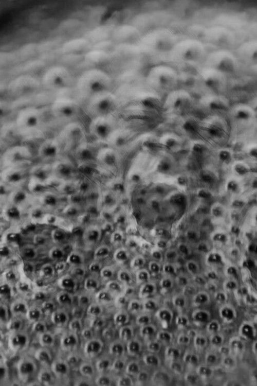 Orbital Discourse (2021) poster