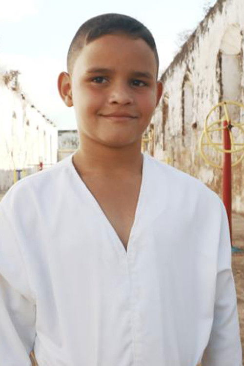 Mi Dulcinea (2017) poster