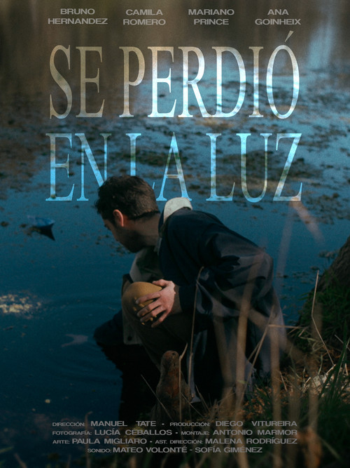 Se Perdió en la Luz (2025) poster