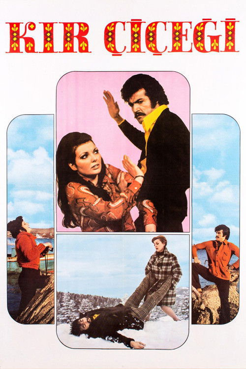 Kır Çiçeği (1974) poster