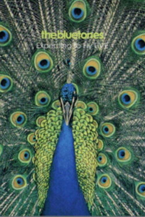 The Bluetones: Expecting To Fly Live (2009) poster