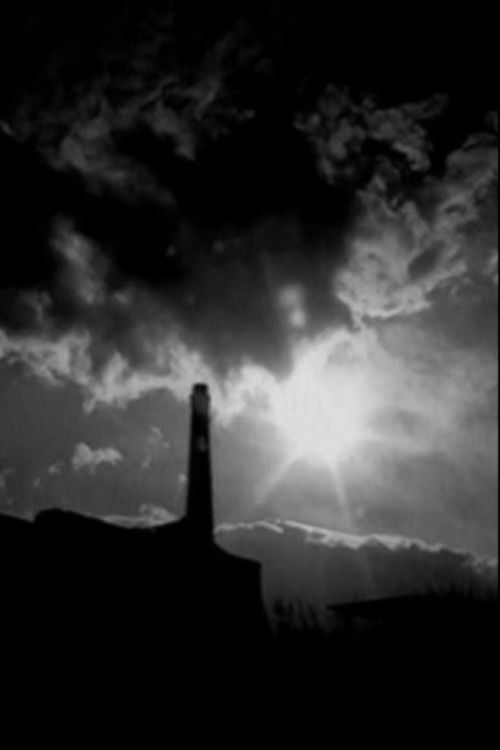 Enrico Ghezzi su Ciprì e Maresco (2016) poster