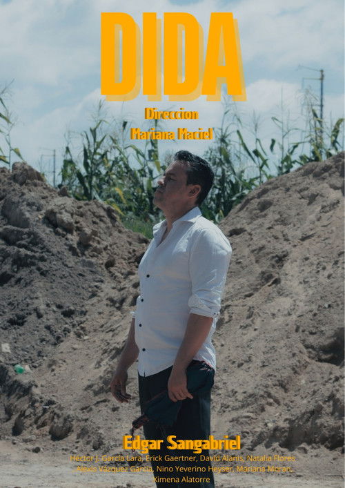 DIDA (2024) poster