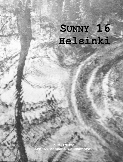 Sunny 16: Helsinki (2024) poster