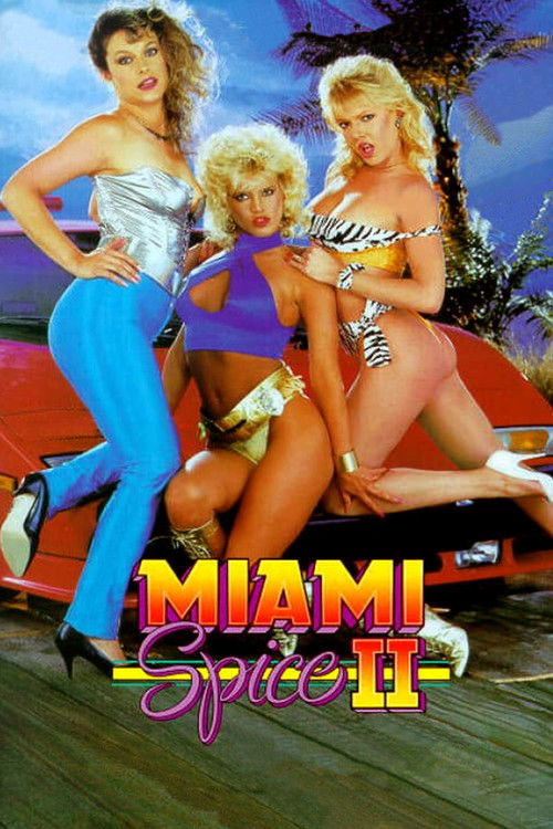 Miami Spice II (1988) poster